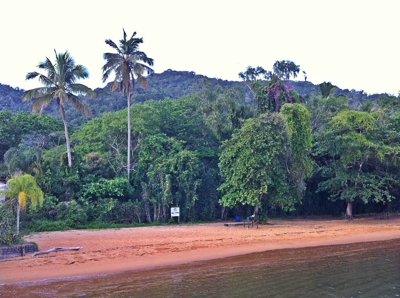 Praia de Araçatiba e vegetação da Ilha Grande
